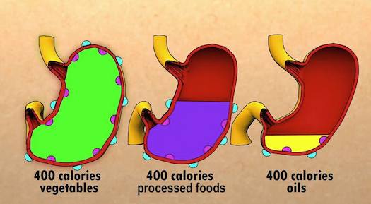 Stomach Density Receptors || theVeggieGirl.com