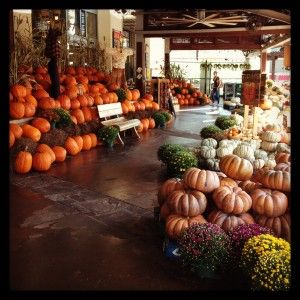 Pumpkin Patch